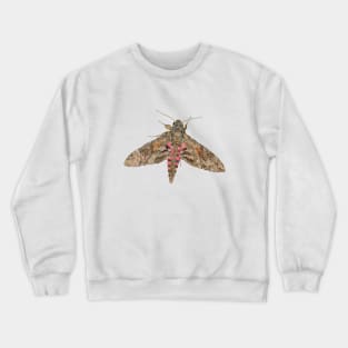 Pink-spotted Hawk Moth Crewneck Sweatshirt